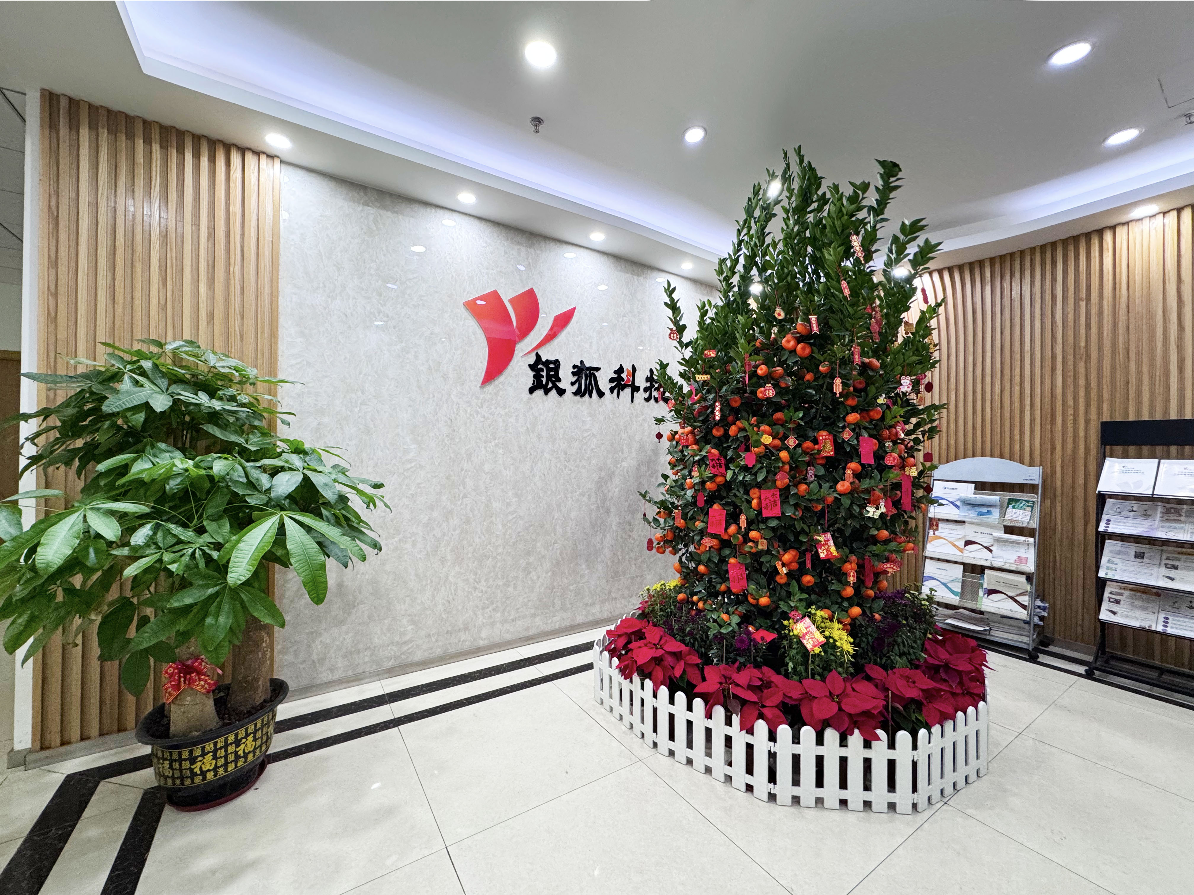 1738907239343666.jpg 1738907239343666.jpg